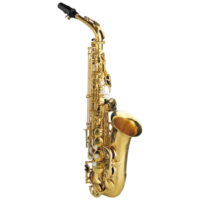 Rampone & Cazzani R1 Jazz Alto Sax AU Rampone & Cazzani R1 Jazz Alto Sax AU