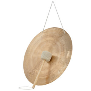 Asian Sound Tamtam TT-55 P