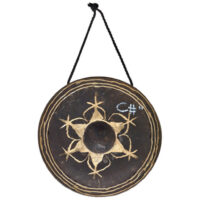 Asian Sound Thai-Gong Tuned c#2