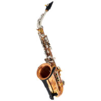 Rampone & Cazzani Metals Alto Sax SB Rampone & Cazzani Metals Alto Sax SB