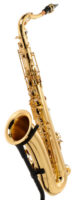 Yanagisawa T-WO10 Elite Tenor Sax