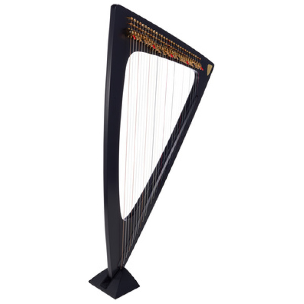 Salvi Delta Electric Harp Ebony
