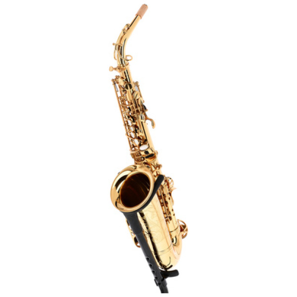 Forestone GX Gold Lacquered Alto Sax