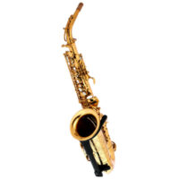 Forestone RX Gold Lacquered Alto Sax Forestone RX Gold Lacquered Alto Sax