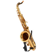 Forestone RX Gold Lacquered Tenor Sax Forestone RX Gold Lacquered Tenor Sax