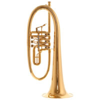 Krinner Prinzessin Flugelhorn Gold Krinner Prinzessin Flugelhorn Gold