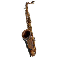 Schagerl Superior Tenor Sax T-1VB Schagerl Superior Tenor Sax T-1VB