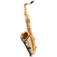 Schagerl SuperiorPro Tenor Sax T-2L Schagerl SuperiorPro Tenor Sax T-2L