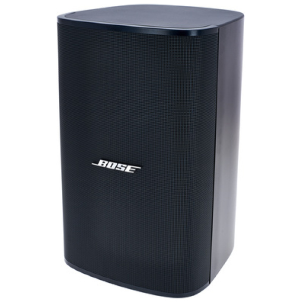 Bose Professional DesignMax DM8S black