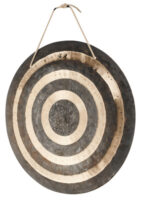 Thomann Wuhan Sun Gong 50