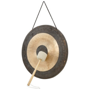 Asian Sound Tamtam T-50 P