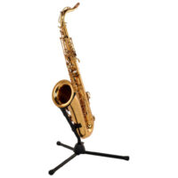 Forestone GX Gold Lacquered Tenor Sax Forestone GX Gold Lacquered Tenor Sax
