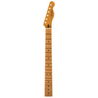 Fender Neck Tele RSTD Flat Oval MN Fender Neck Tele RSTD Flat Oval MN